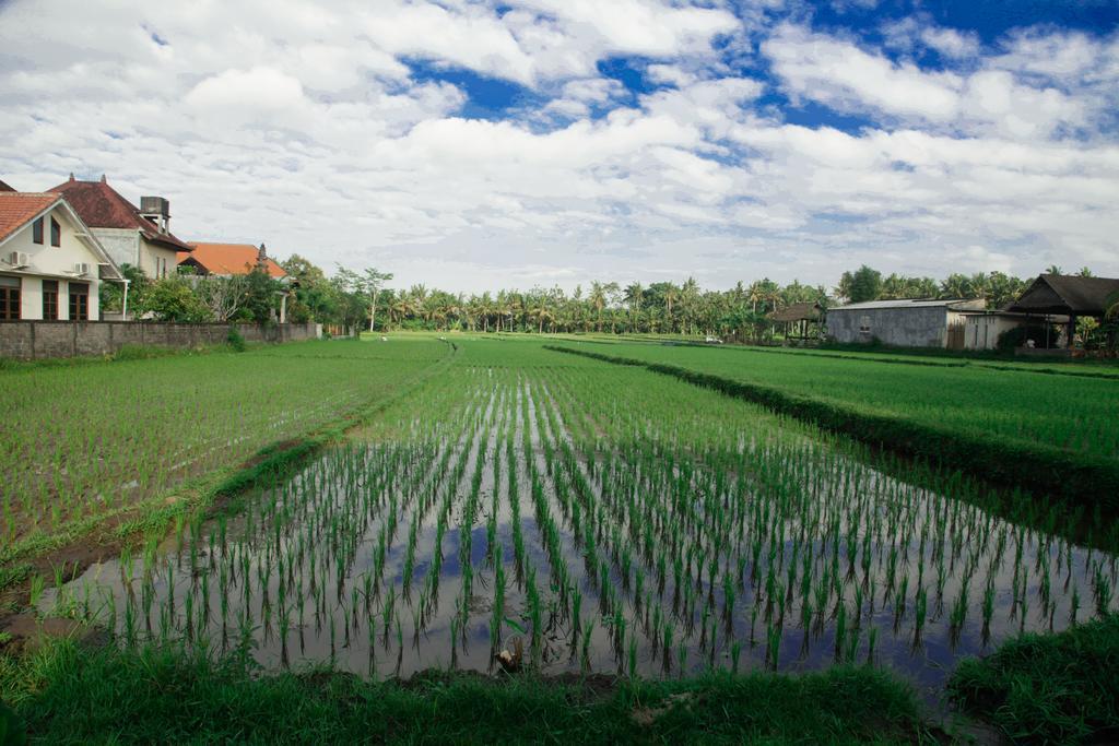 Canang Sari House Ubud Eksteriør bilde